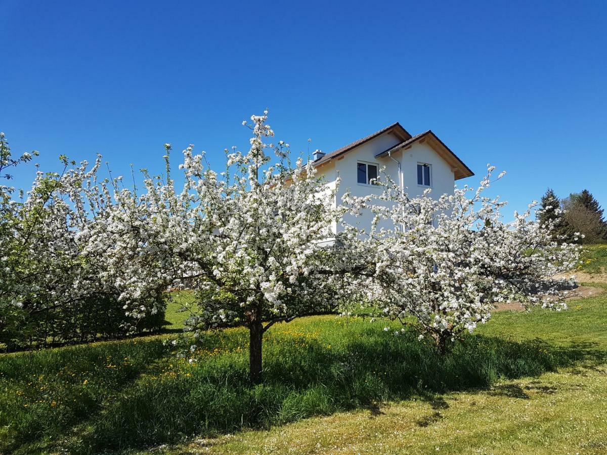 Ferienwohnung Buehlingen Ротвайль Екстер'єр фото